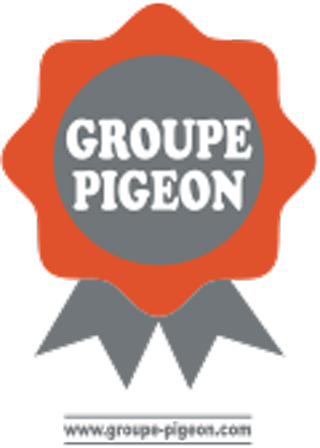 roadmapper client pigeon tp